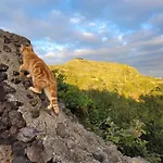 El Lance * El Tanque