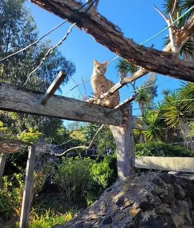 El Lance Gospodarstwo wiejskie El Tanque