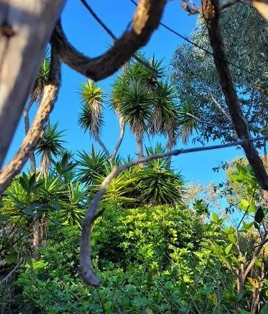 El Lance Gospodarstwo wiejskie *