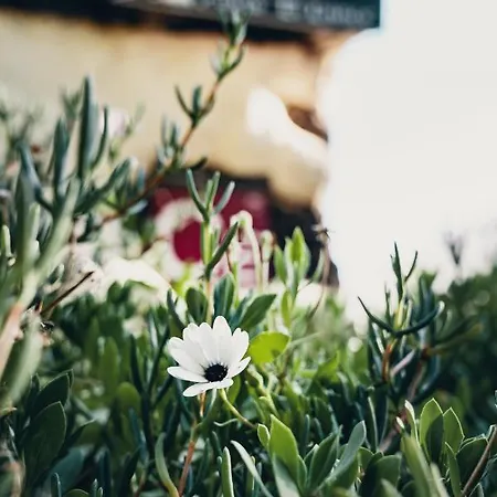 Gospodarstwo wiejskie El Lance *