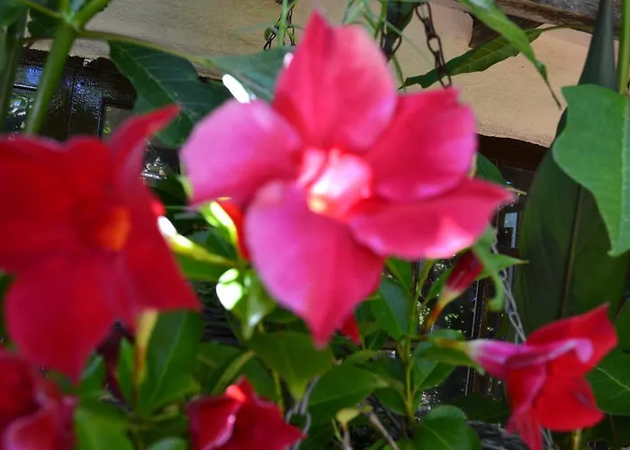 El Lance Casa rural *