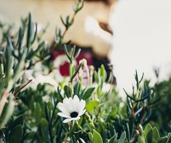 Casa rural El Lance *